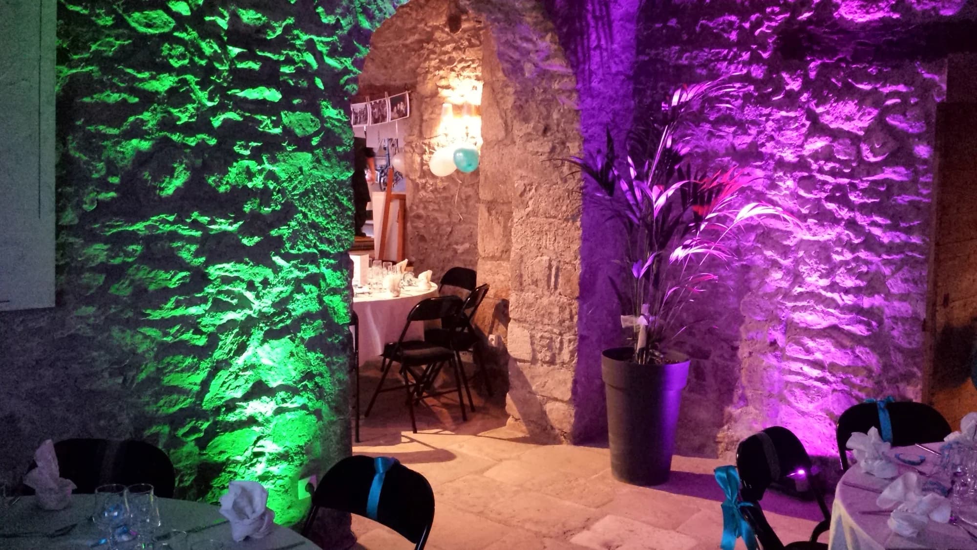 Salle voûtée en pierre éclairée en vert et violet, tables dressées et plante décorative au premier plan
